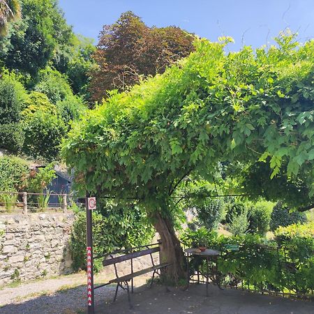 Villa Antonella, App. Vittoria Tavernerio Екстер'єр фото