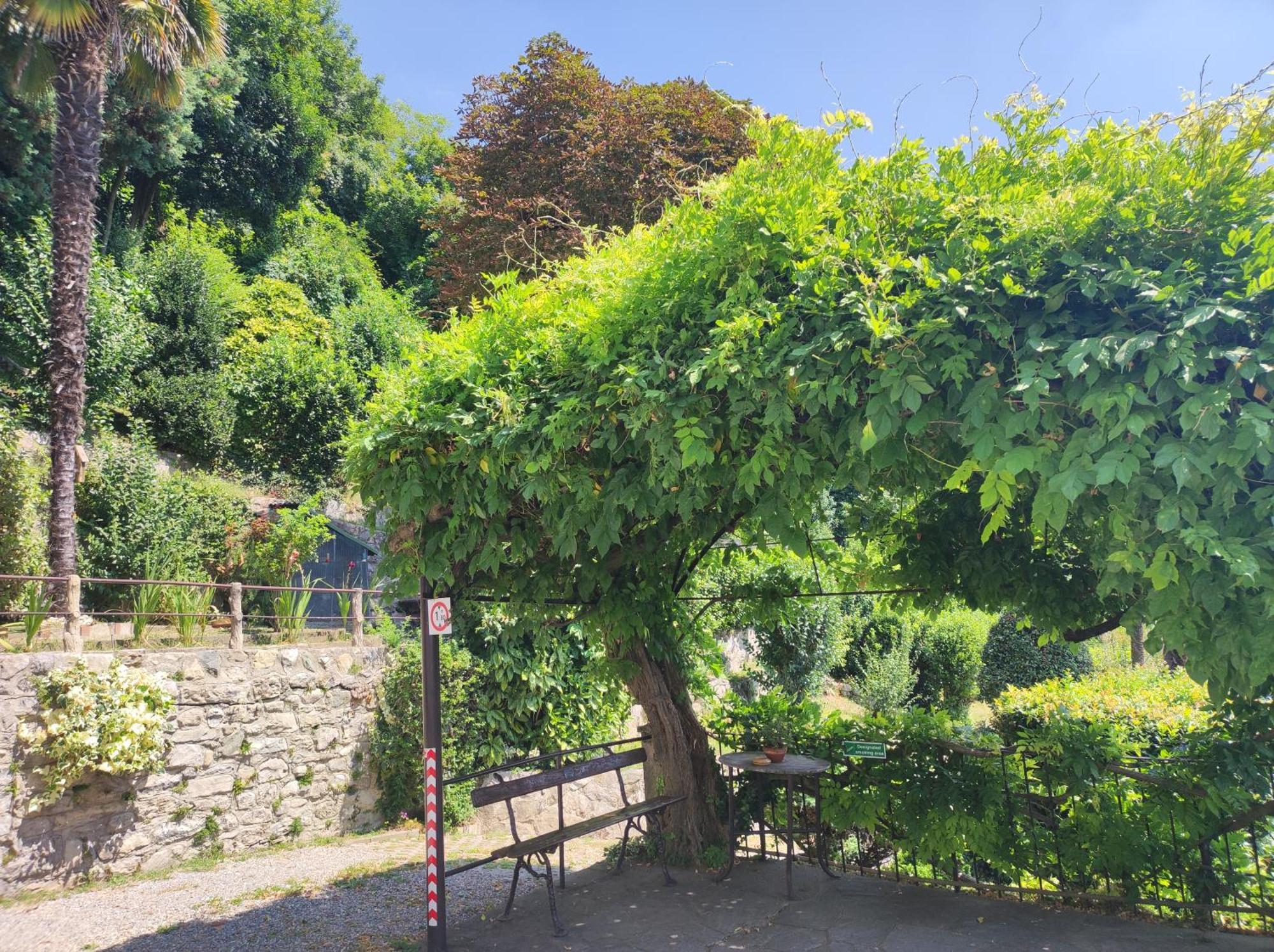 Villa Antonella, App. Vittoria Tavernerio Екстер'єр фото